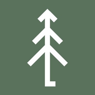 СосныЕлиШишки 🌲 - TgScanner