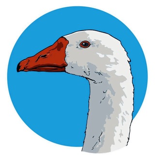 Avatar of Telegram channel "ГУСИНАЯ ФЕРМА" @+nwIlE9-RYrBmOWNi