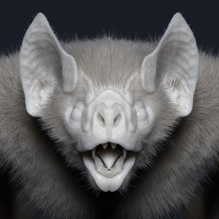 Аватар Телеграм каналу "Лігво кажана 🦇" @lihvo_chiroptera