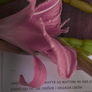 Аватар Телеграм каналу "Кш пш" @kshpsh