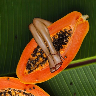 Нескучный ВЕЛНЕС - TgScanner